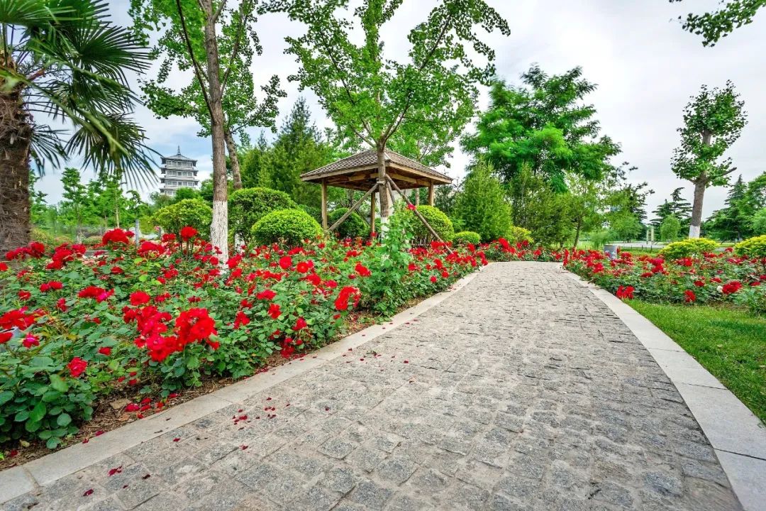 1753683102271315.jpg 微信圖片_20250728140757.jpg